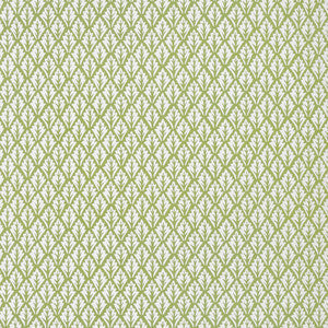 Kravet Fabric Dorso Olive