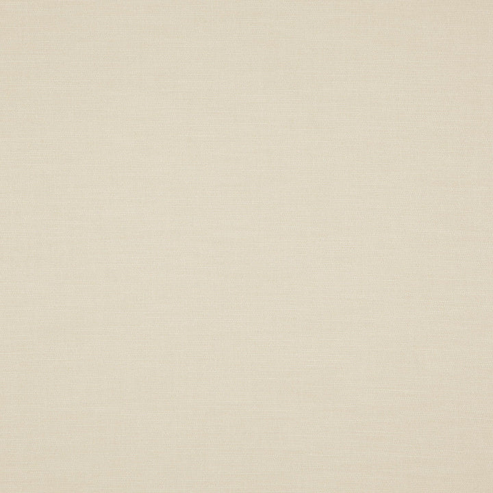 Dover 91J8291 by JF Designer Fabric Veryday Presto Fibrguard 97% Polyester, 3% Viscose India 140000 Horizontal: and Vertical: 54 - Swanky Fabrics -