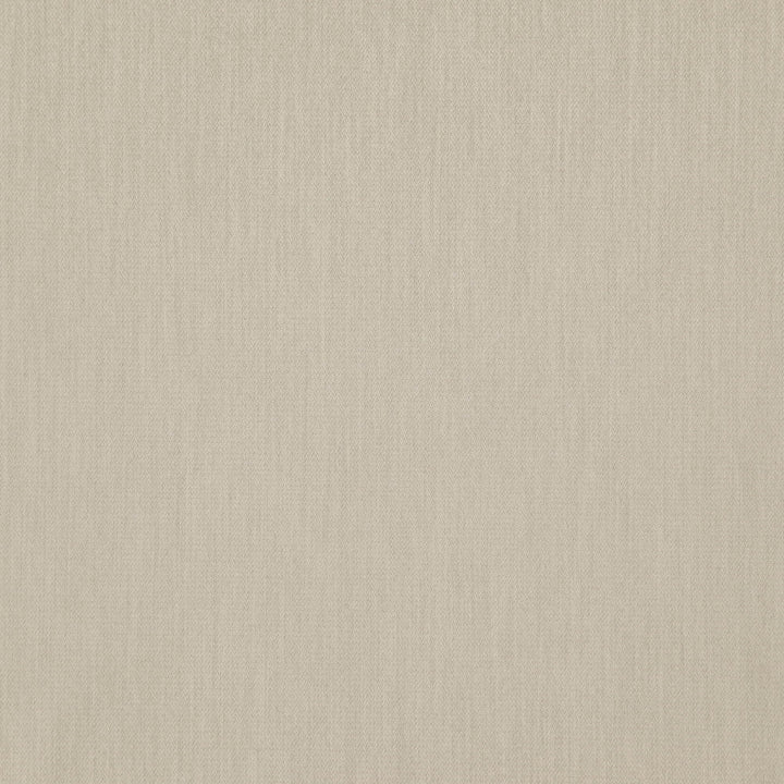 DREAMER 31J7601 by JF Designer Fabric Dreamer  Book 50% Polyester, 50% Polyacrylic China  Horizontal:  and Vertical:  55  - Swanky Fabrics -