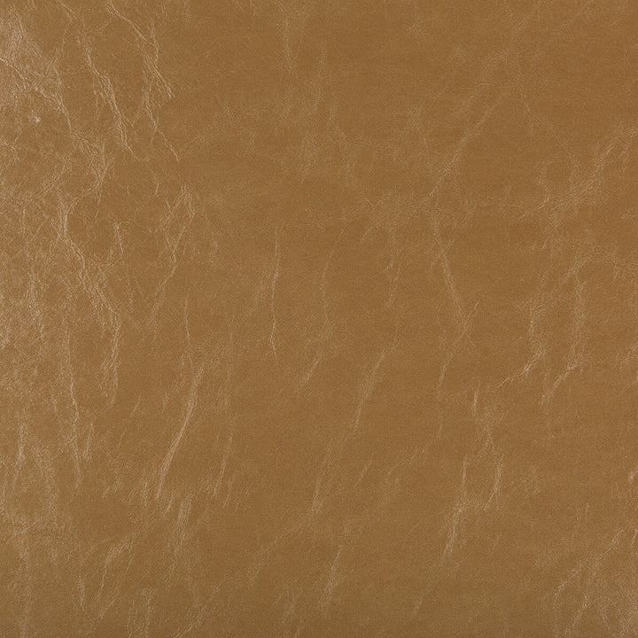 Kravet Design Duncan-1616 by Kravet Design Fabric Kravet Design Fabric Kravet Design Duncan-1616Fabric POLY VINYL CHLORIDE - 100% Taiwan </p><p>Repeat: H: 0, V: 0 54 - Fabric Carolina -