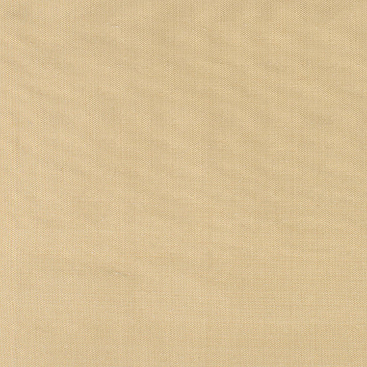 Dupioni 17 Chamois by Stout Designer Fabric DUPIONI SILK 100%SLK INDIA FLAME RETARDANT-U.F.A.C. CLASS 1 CATB 117-2013 (WYZENBEEK 63 000 DOUBLE RUB WEAR TEST (HEAVY DUTY)) Horizontal: 0.000 and Vertical: 0.000 54 in - Swanky Fabrics -