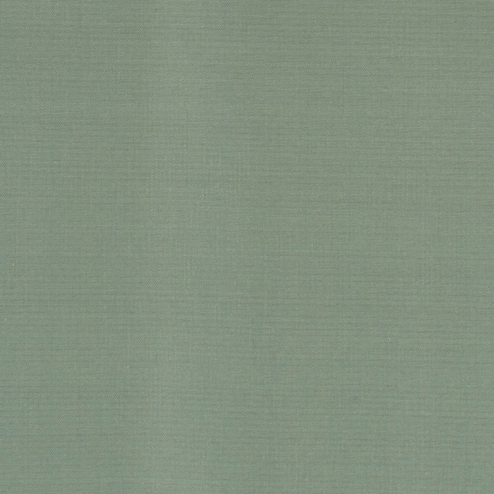 Dupioni 40 Dewkist by Stout Fabric Stout Fabric Dupioni 40 DewkistFabric DUPIONI SILK INDIA </p><p>Repeat: H: 0.000, V: 0.000 54 in - Fabric Carolina -