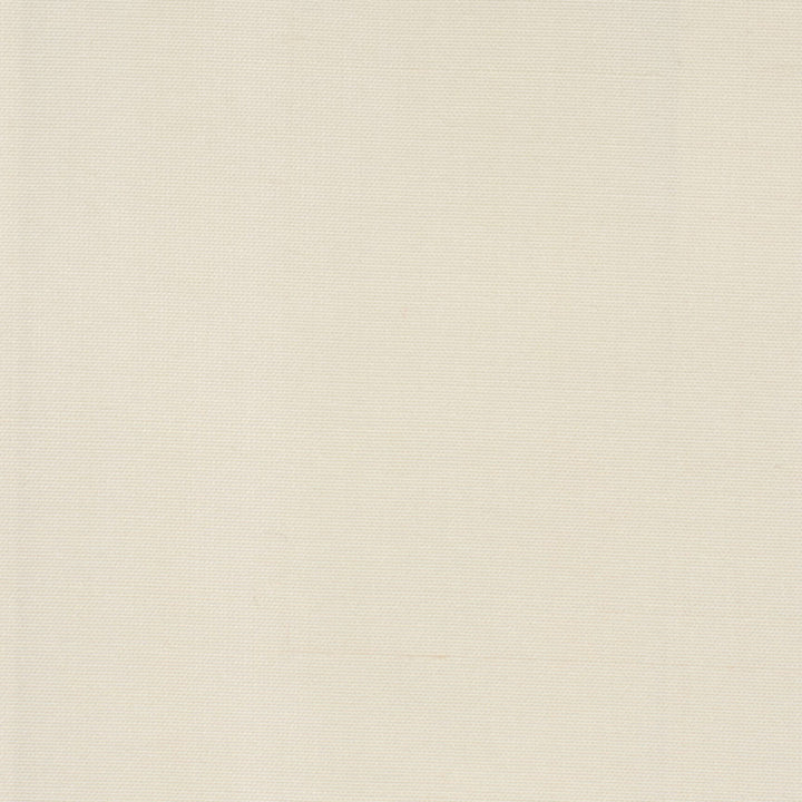 Dupioni 6 Ecru by Stout Fabric Stout Fabric Dupioni 6 EcruFabric DUPIONI SILK INDIA </p><p>Repeat: H: 0.000, V: 0.000 54 in - Fabric Carolina -