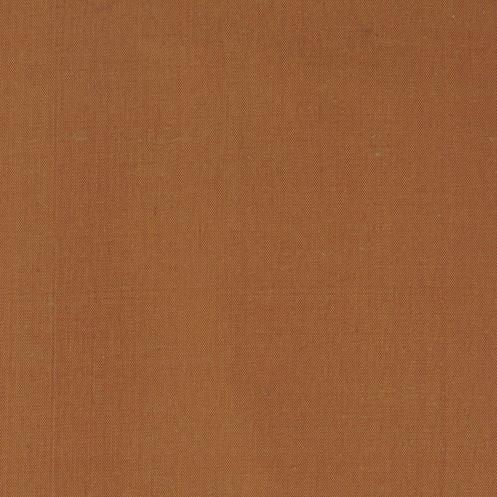Dupioni 71 Clay by Stout Designer Fabric DUPIONI SILK 100%SLK INDIA PERFORMANCE RATED FABRIC CATB 117-2013 WYZENBEEK 50 000 DOUBLE RUB WEAR TEST (HEAVY DUTY) Horizontal: 0.000 and Vertical: 0.000 54 in - Swanky Fabrics -