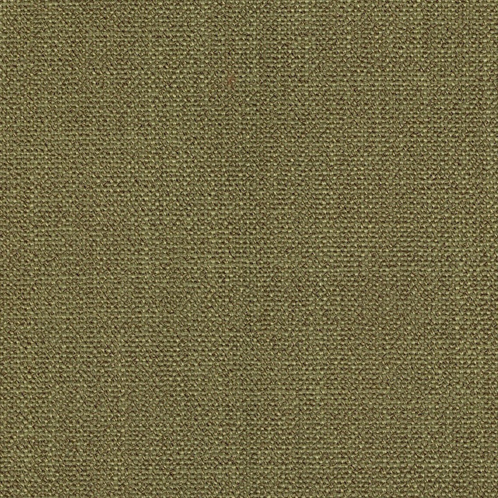 Dupree Fern by Magnolia Designer Fabric - 100% Poly China 60000 Horizontal: 0 and Vertical: 0 55" - Swanky Fabrics -
