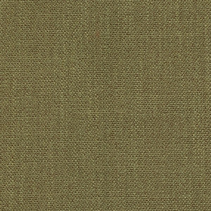 Magnolia Fabric Dupree Fern