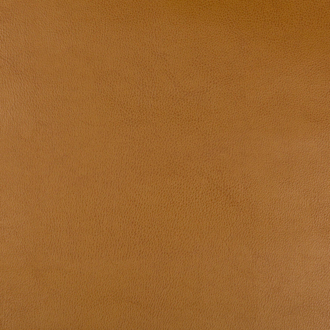 Kravet Basics Fabric Fera - Adobe