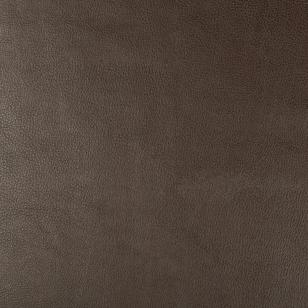 Dust-66 by Kravet Design Designer Fabric POLYURETHANE - 100% China HEAVY Horizontal: and Vertical: 54 - Swanky Fabrics -