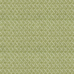 ABBEYSHEA Fabric McKay 205 Grass