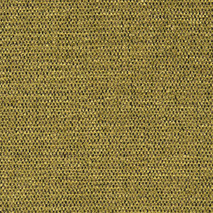 Crypton Fabric Degree Dill