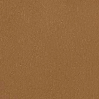 Dolce Camel DOL-6709 by Burch Designer Fabric our website for purchase 100% Polyurethane USA or Asia Water-based cleaning agents and foam may be used for cleaning. This fabric may also be cleaned with mild, water-free solvents. Cleaning by a professional cleaning service is recommended. Horizontal: - and Vertical: - 54" - Swanky Fabrics -