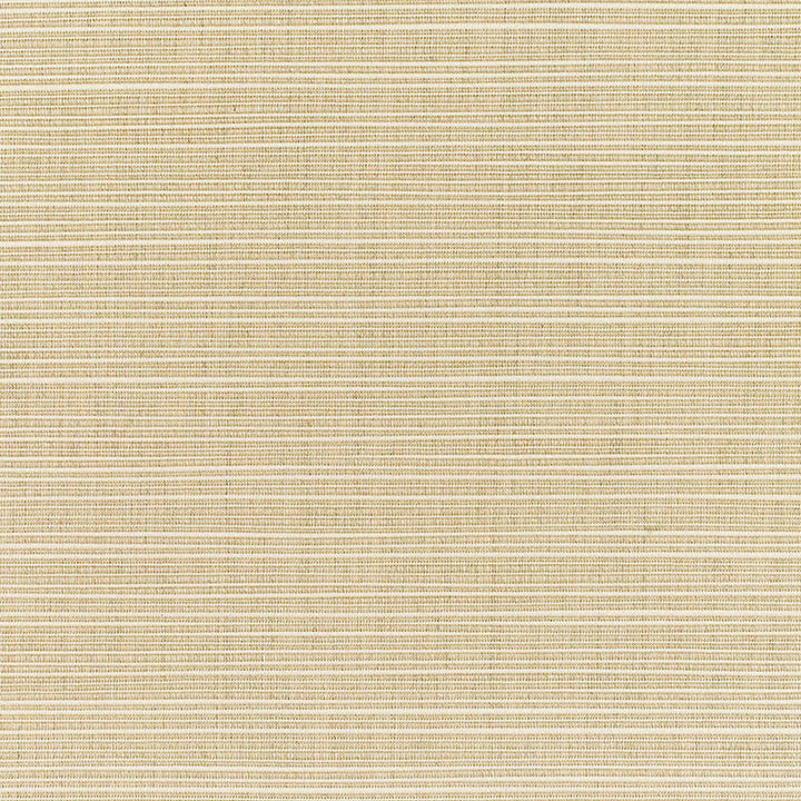 8011  Dupione Sand by Sunbrella Designer Fabric our website for purchase 100% Sunbrella Acrylic USA (see sample) n/a - Fabric is railroaded 54"  - Swanky Fabrics -