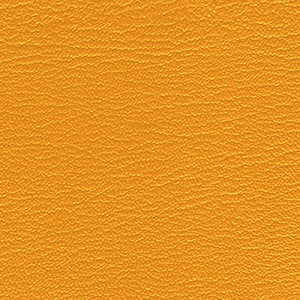 Morbern Fabric Duration Squash
