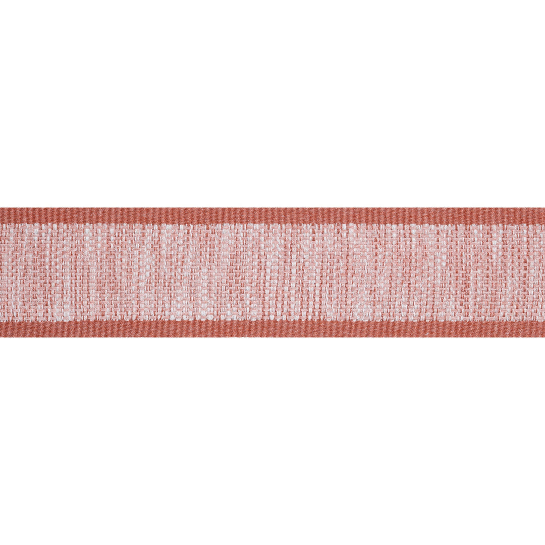 FISHER TAPE Clay E12401 by Thibaut Designer Trim