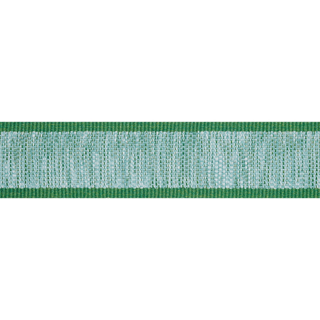FISHER TAPE Kelly E12402 by Thibaut Designer Trim