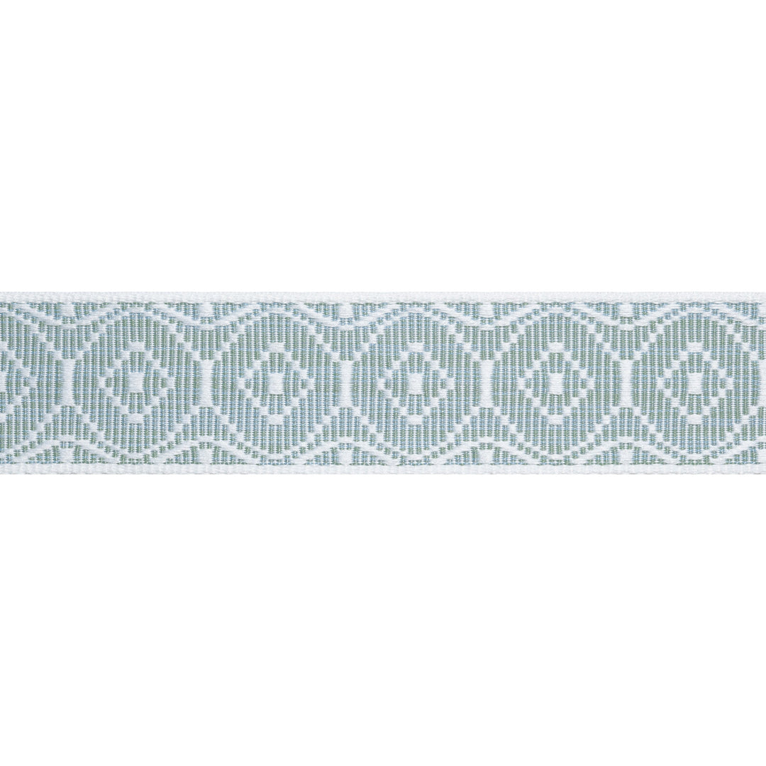 KNOX TAPE Aloe E12448 by Thibaut Designer Trim