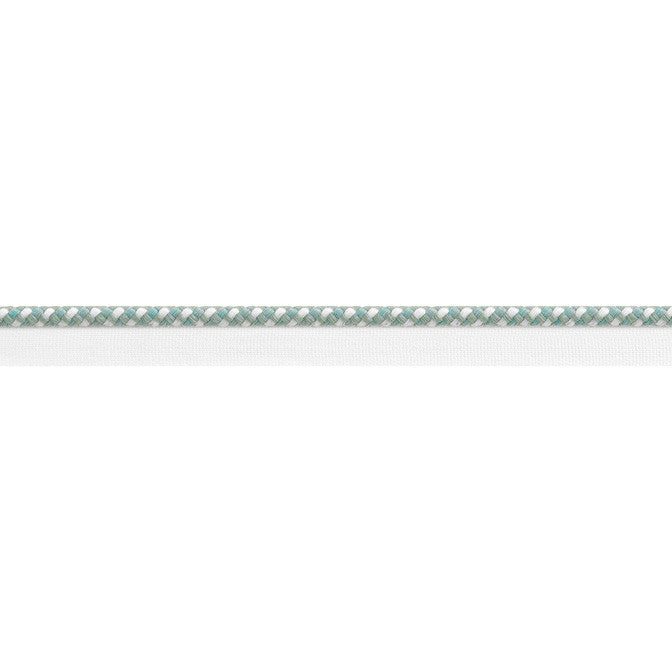 Surrey Cord Seafoam E81825 by Thibaut Fabric Thibaut Fabric Surrey Cord Seafoam E81825Fabric Tapes & Trims Vol. 4 100% Solution Dyed Polyester UNITED KINGDOM </p><p>Repeat: V: - 0.75 - Fabric Carolina -
