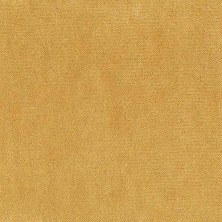 Eclipse 1 Goldenrod by Stout Designer Fabric RAINBOW LIBRARY HONEY/CHARDONNAY 75%POL 25%COT CHINA FLAME RETARDANT-CA BULLETIN 117-SECTION E FLAME RETARDANT-U.F.A.C. CLASS 1 WYZENBEEK 200 000 DOUBLE RUB WEAR TEST(EXTREMELY HEAVY DUTY) </p><p>Repeat: 0 54 in - Swanky Fabrics -