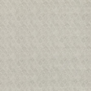 Threads Fabric Boundary Dove
