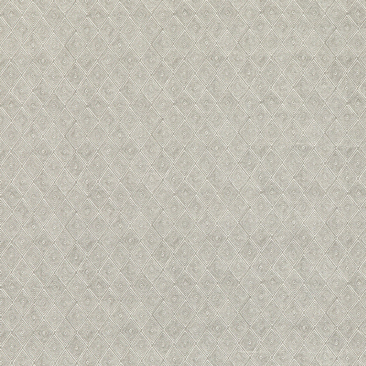 Boundary Dove by Threads Fabric Threads Fabric Boundary DoveFabric NALA PRINTS COTTON - 60%;LINEN - 40% India </p><p>Repeat: H: 6.698, V: 7.092 53.584 - Fabric Carolina -