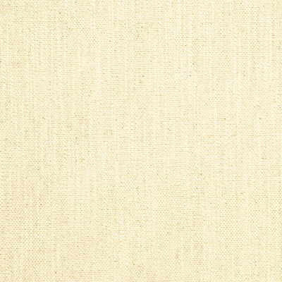 Isis Ivory by Threads Designer Fabric THREADS SPRING COTTON - 45%;VISCOSE - 45%;LINEN - 10% Italy MEDIUM Horizontal: - and Vertical: - 53.978 - Swanky Fabrics -