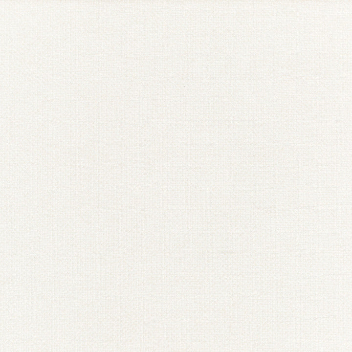 Cami Ivory by Threads Designer Fabric ODYSSEY VISCOSE - 65%;COTTON - 35% Italy HEAVY Horizontal: - and Vertical: - 53.978 - Swanky Fabrics -