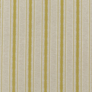 Threads Fabric Rattan Stripe Citrus