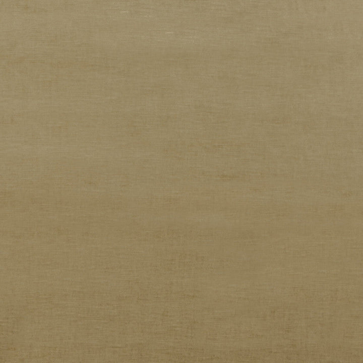 Meridian Velvet Camel by Threads Fabric Threads Fabric Meridian Velvet CamelFabric MERIDIAN VISCOSE - 51%;COTTON - 40%;POLYESTER - 9% Italy </p><p>Repeat: H: , V: 55.16 - Fabric Carolina -