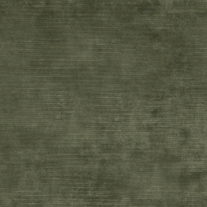 Meridian Velvet Fern by Threads Designer Fabric MERIDIAN VISCOSE - 51%;COTTON - 40%;POLYESTER - 9% Italy HEAVY Horizontal: and Vertical: 55.16 - Swanky Fabrics -