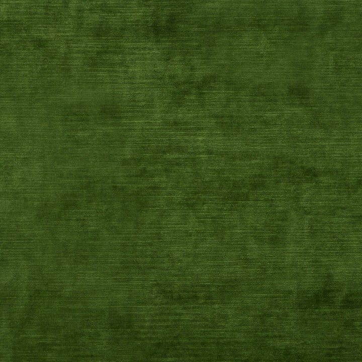 Meridian Velvet Emerald by Threads Designer Fabric MERIDIAN VISCOSE - 51%;COTTON - 40%;POLYESTER - 9% Italy HEAVY Horizontal: and Vertical: 55.16 - Swanky Fabrics -