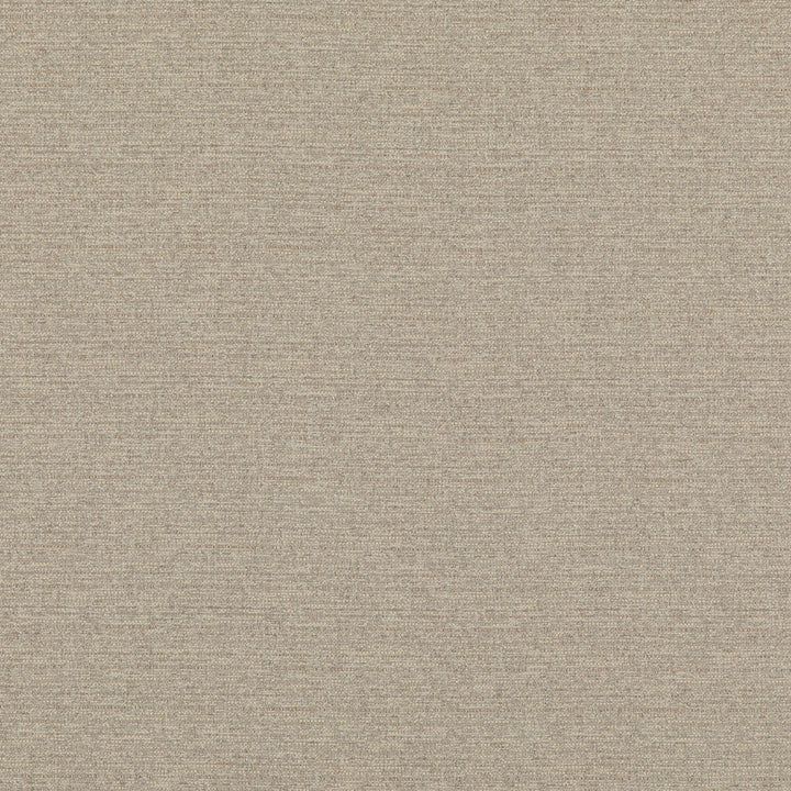 Bara Ivory by Threads Designer Fabric LUXURY WEAVES II VISCOSE - 39%;COTTON - 25%;LINEN - 17%;POLYESTER - 17%;POLYCOTTON - 2% Italy - Horizontal: - and Vertical: - 53.978 - Swanky Fabrics -
