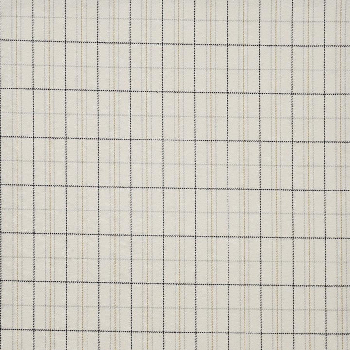 Earl Grey # 640 Highlands by Maxwell Designer Fabric Performance Wovens-Vol.Iv Smokeshow 100% POLYESTER TURKEY V-2"H-1" 54" - Swanky Fabrics -
