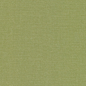 Maxwell Fabric Equilibrium-Nj # 231 Grass