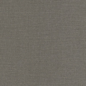 Maxwell Fabric Equilibrium-Nj # 243 Gargoyle