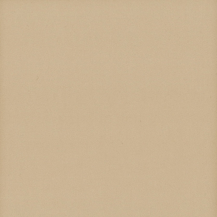 Elbert 11 Biscuit by Stout Designer Fabric LEATHER LOOKS III PERFORMANCE 70%PVC 25%POL 5%POU CHINA PERFORMANCE RATED FABRIC CATB 117-2013 WYZENBEEK 80 000 DOUBLE RUB WEAR TEST (HEAVY DUTY) </p><p>Repeat: 0 54 in - Swanky Fabrics -