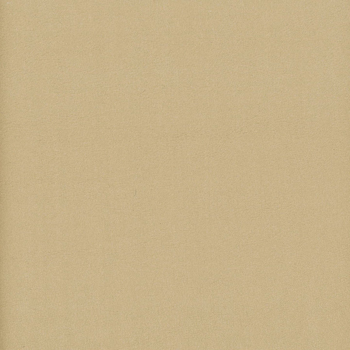 Elbert 12 Jute by Stout Designer Fabric Leather Looks Iii Performance 70% Polyvinylchloride 25% Polyester 5% Polyurethane CHINA PERFORMANCE RATED FABRIC CATB 117-2013 WYZENBEEK 80 000 DOUBLE RUB WEAR TEST (HEAVY DUTY) Horizontal: 0 and Vertical: 0 54 in - Swanky Fabrics -