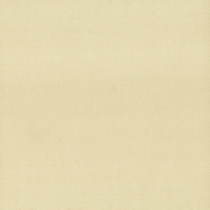 Elbert 1 Parchment by Stout Designer Fabric LEATHER LOOKS III PERFORMANCE 70%PVC 25%POL 5%POU CHINA PERFORMANCE RATED FABRIC CATB 117-2013 WYZENBEEK 80 000 DOUBLE RUB WEAR TEST (HEAVY DUTY) </p><p>Repeat: 0 54 in - Swanky Fabrics -