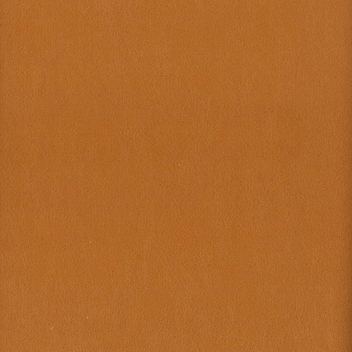 Elbert 8 Cashew by Stout Designer Fabric LEATHER LOOKS III PERFORMANCE 70%PVC 25%POL 5%POU CHINA PERFORMANCE RATED FABRIC CATB 117-2013 WYZENBEEK 80 000 DOUBLE RUB WEAR TEST (HEAVY DUTY) Horizontal: 0 and Vertical: 0 54 in - Swanky Fabrics -