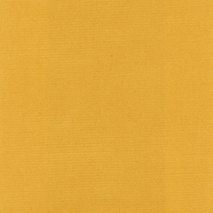 Eleanor 16J7561 by JF Designer Fabric Winning Windows Vermont 53% Polyester, 47% Cotton China 100000 Horizontal: and Vertical: 55 - Swanky Fabrics -