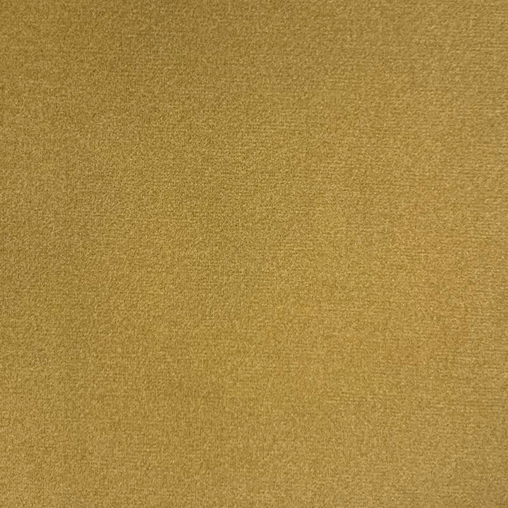 Emi Lion by Magnolia Designer Fabric - 100% Poly China 50000 Horizontal: 0 and Vertical: 0 56" - Swanky Fabrics -