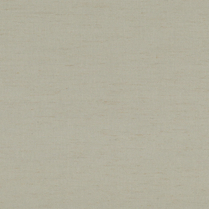 Emory 2 Mushroom by Stout Fabric Stout Fabric Emory 2 MushroomFabric LIGHTS OUT 100%POL CHINA </p><p>Repeat: H: 0.000, V: 0.000 55 in - Fabric Carolina -
