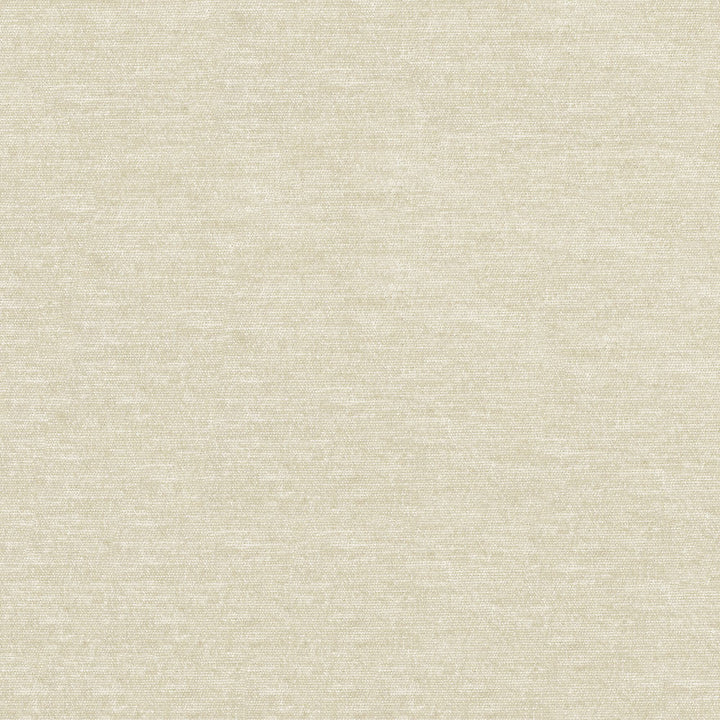 Endurepel Nebo 602 Pearl by Endurepel Designer Fabric 65% Polyester, 35% Viscose China 60,000 Double Rubs (Wyzenbeek) </p><p>Repeat: Horizontal: and Vertical: 56" (142 cm) - Swanky Fabrics -