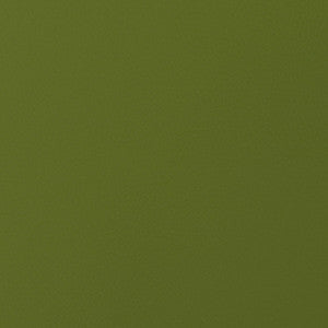 ABBEYSHEA Fabric Envision 016 Kiwi