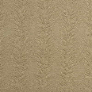 Kravet Fabric Epitome Putty