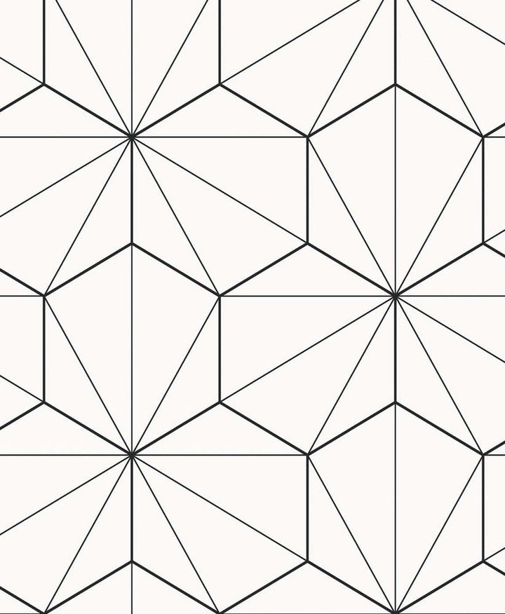 Hedron Geometric Ebony & Eggshell ET11300 by Etten Studios Designer Wallpaper