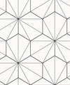 Etten Studios Wallpaper Hedron Geometric Ebony & Eggshell ET11300