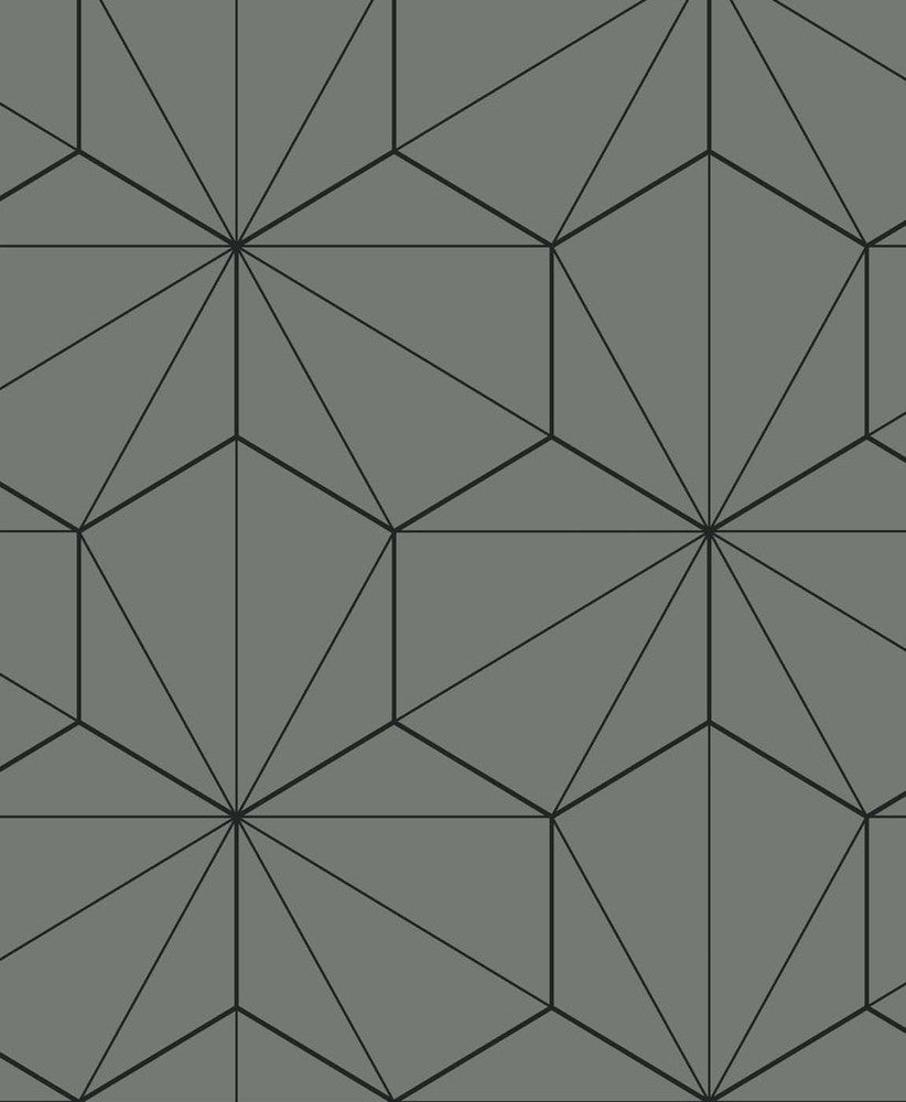 Hedron Geometric Pavestone & Ebony ET11305 by Etten Studios Designer Wallpaper