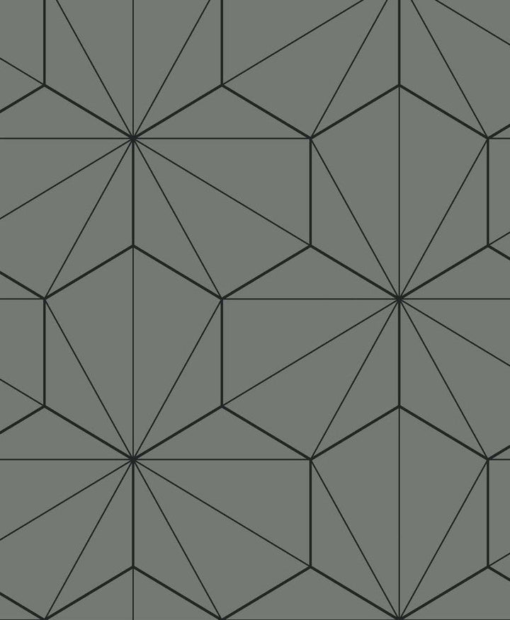Hedron Geometric Pavestone & Ebony ET11305 by Etten Studios Designer Wallpaper