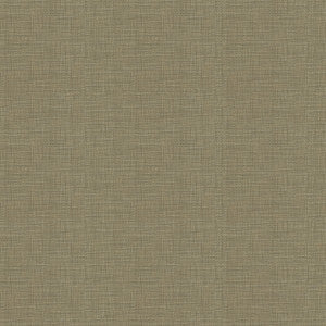Kravet Fabric Etching Pewter