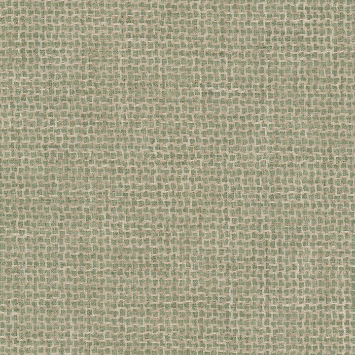 Eureka 3 Pistachio by Stout Fabric Stout Fabric Eureka 3 PistachioFabric RAINBOW LIBRARY SAGE/CYPRESS 100%POL INDIA </p><p>Repeat: H: 0.500, V: 0.500 54 in - Fabric Carolina -
